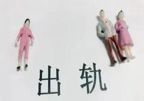 怎样可以提请证人作证?